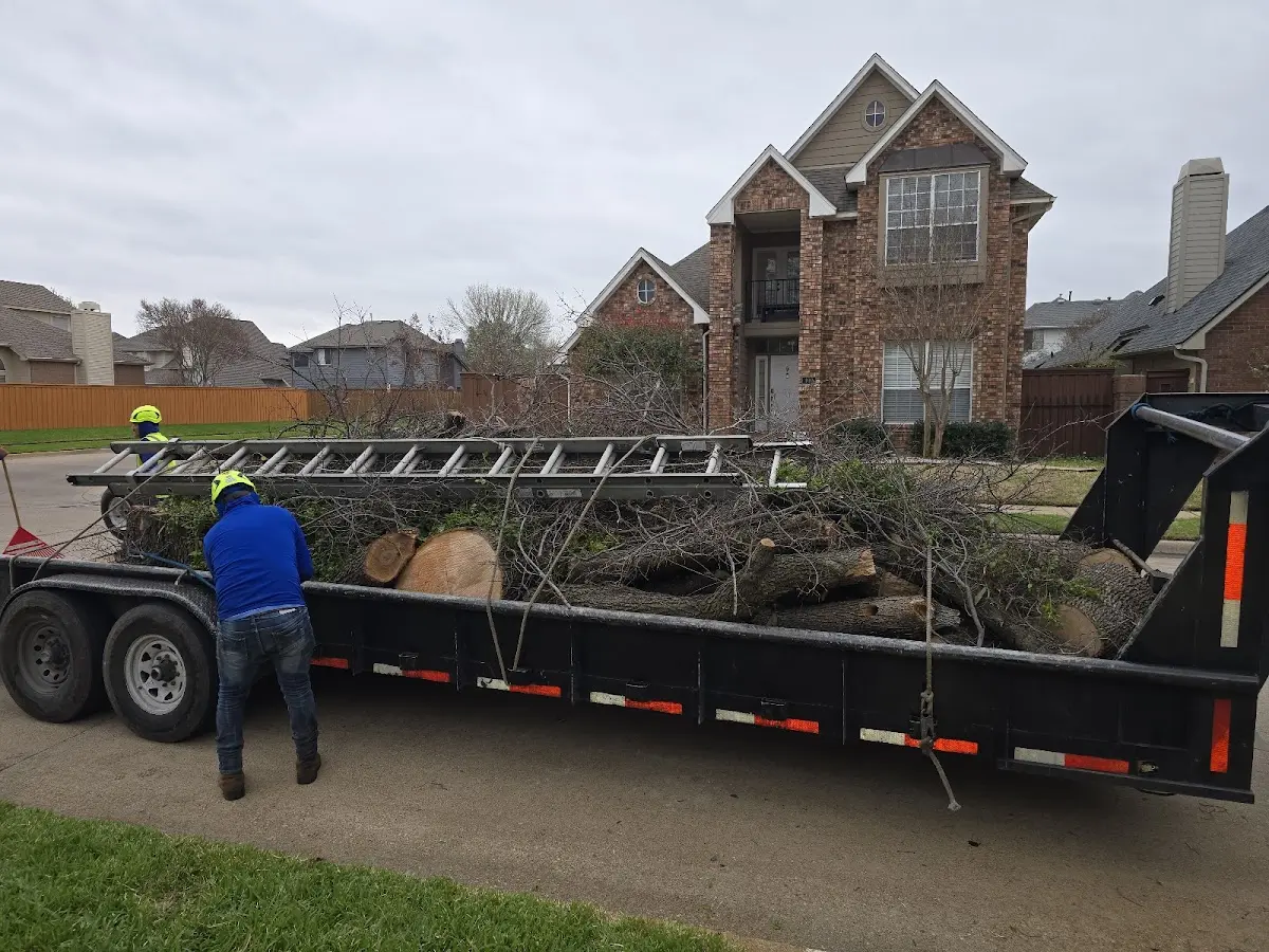 Expert Tree Removal with proper safety equipment in Nesconset